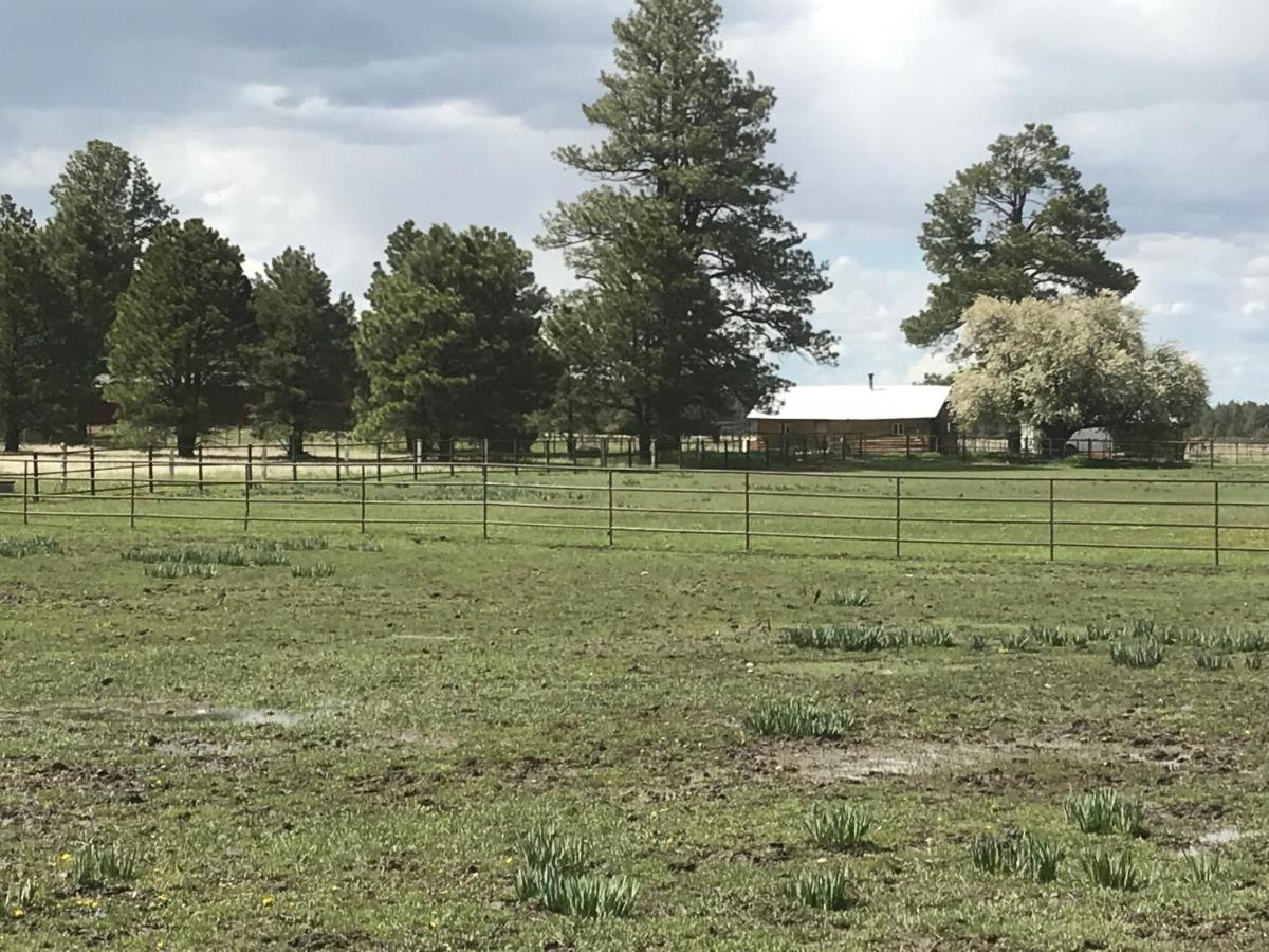Grand Canyon Cottage At Historic Wrigley Ranch With Horseback Riding & Shooting Parks Zewnętrze zdjęcie